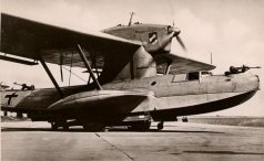 Dornier Do 18 junkers type flaps